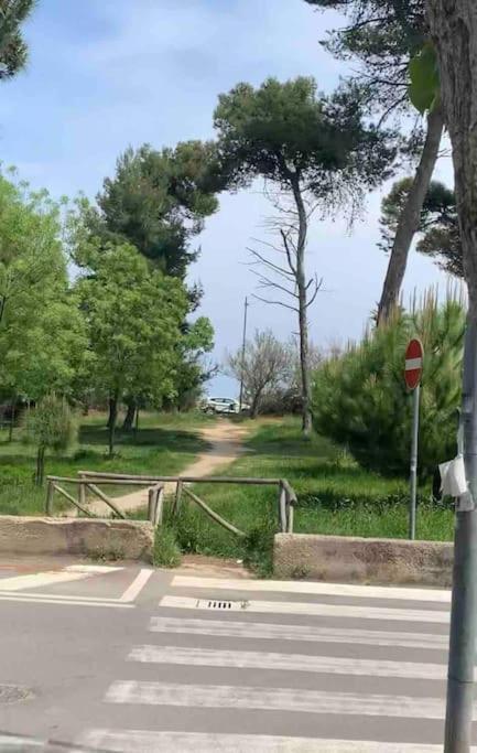 Appartamento Casa Vacanze Montesilvano Marina Esterno foto